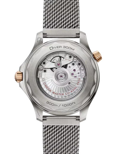 Seamaster Diver 300M